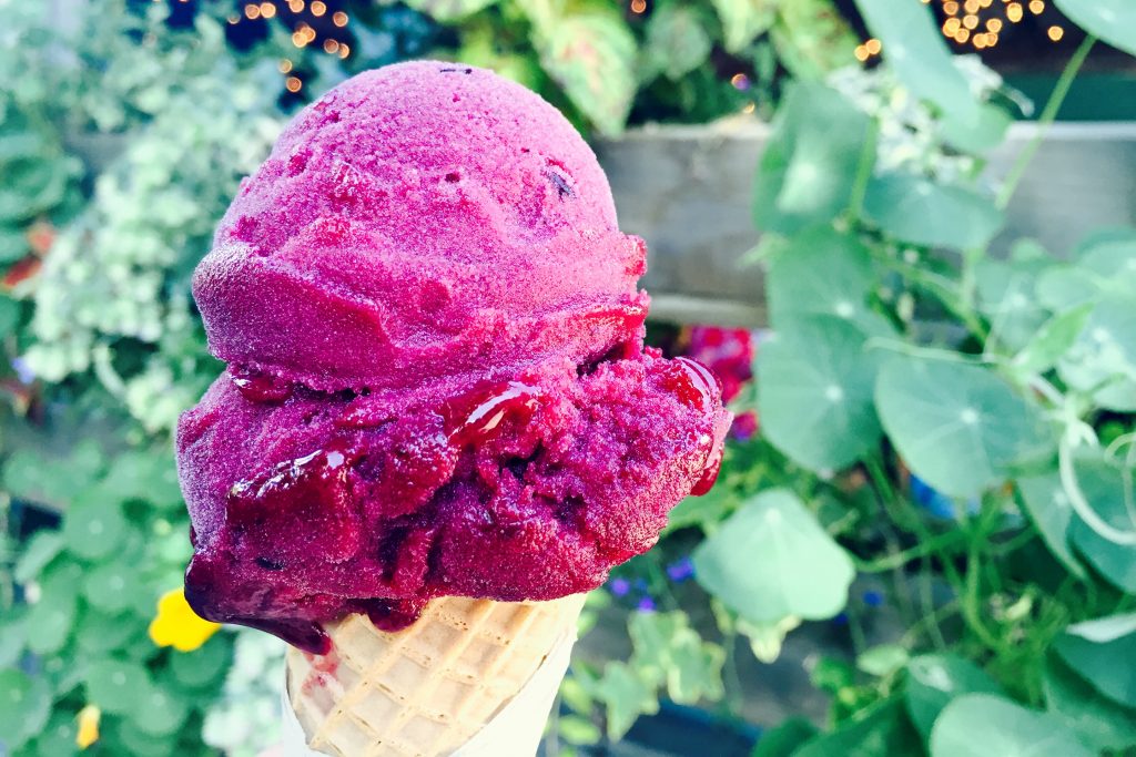 Blueberry Sorbet